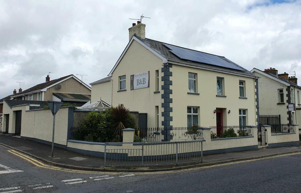 Rose Park House Bed and Breakfast Londonderry Exteriör bild